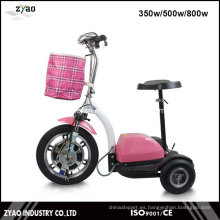 Scooter eléctrico de la movilidad para el adulto mayor 3 ruedas de gran tamaño